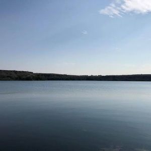 Meet your Posher, Henry